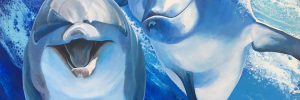Dolphin Portraits & Art