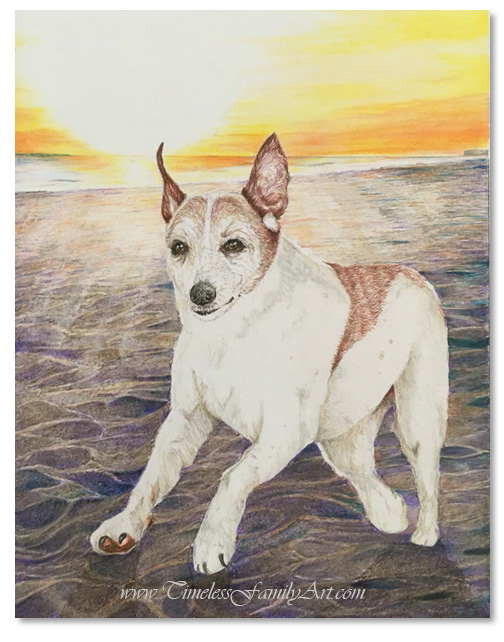 custom pencil drawing from photo dog memorial gift